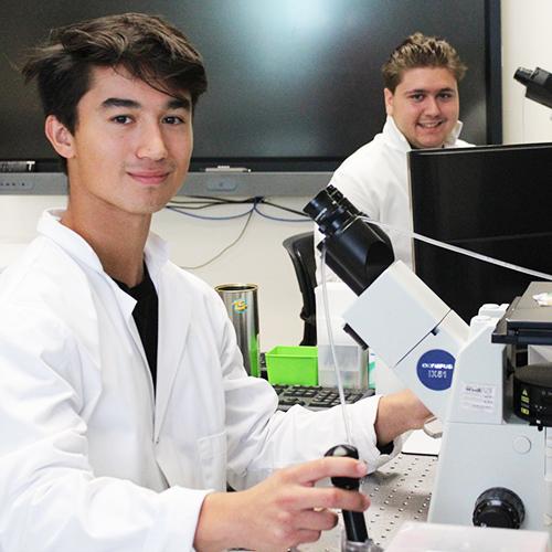 Two students work with microscopes in Dr. Lee's lab.