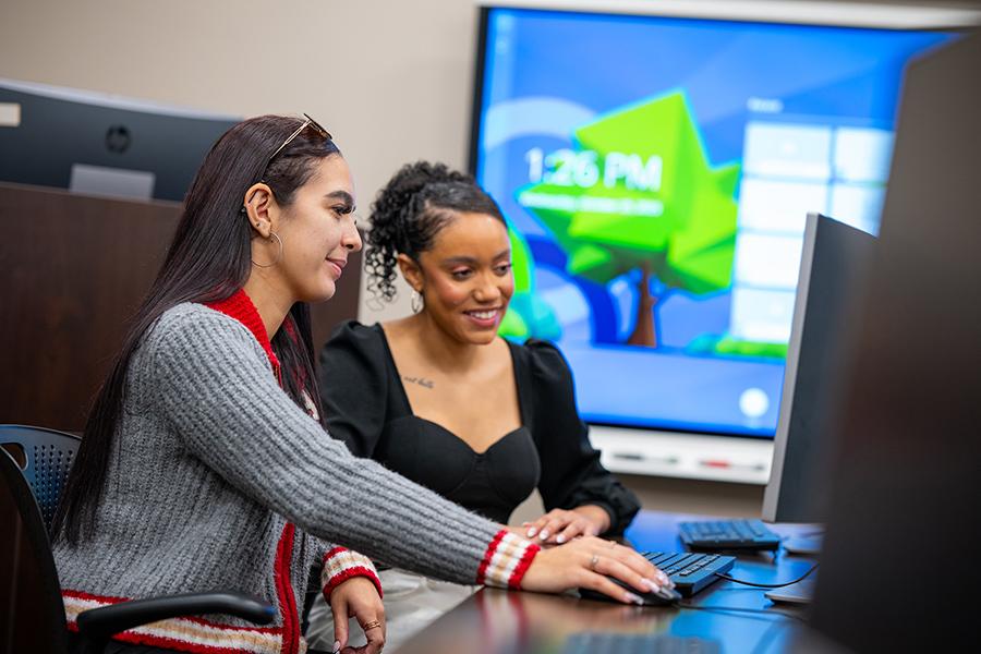 Two graduate students work together in the computer lab.