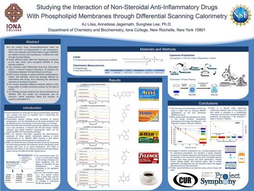 Studying the Interaction of Non-Steroidal Anti-Inflammatory Drugs With Phospholipid Membranes through Differential Scanning Calorimetry poster