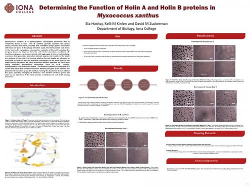 Ela Hoxhaj poster presentation.