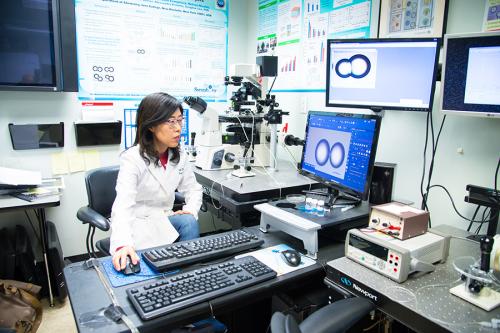 Dr. Lee performing research in her lab with two computers.