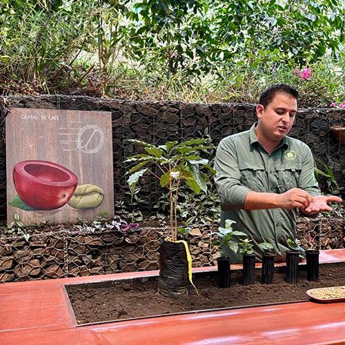 Importance of coffee beans for Costa Rica's economic Development - IDEAS program story