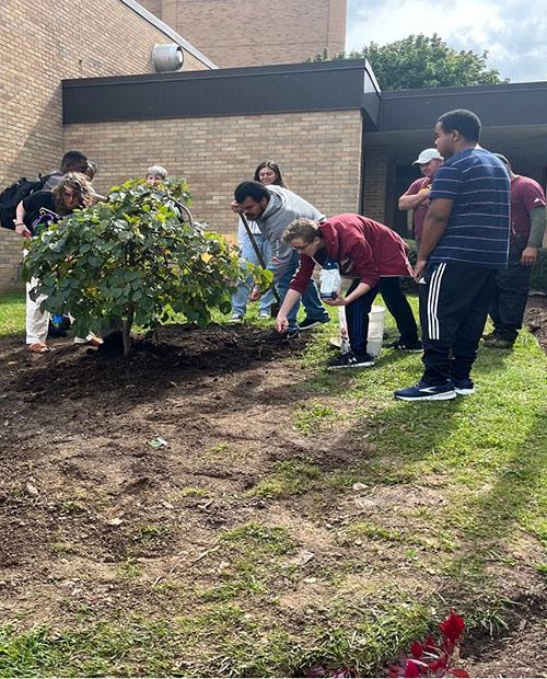 Students planting a bush for the Season of Creation event.