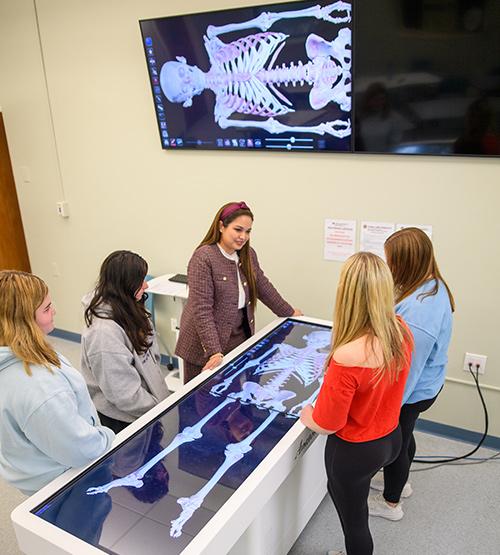 A professor demonstrates on a virtual skeleton model.